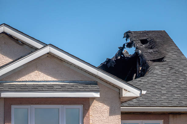 Top rated local Fire Damage Removal specialists in Montgomery, TX
